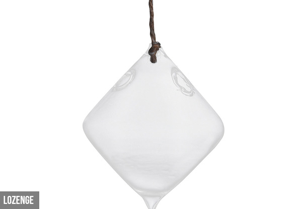 Hanging Glass Vase - Four Styles Available