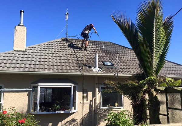 Single-Storey House Wash - Options for up to 290m2
