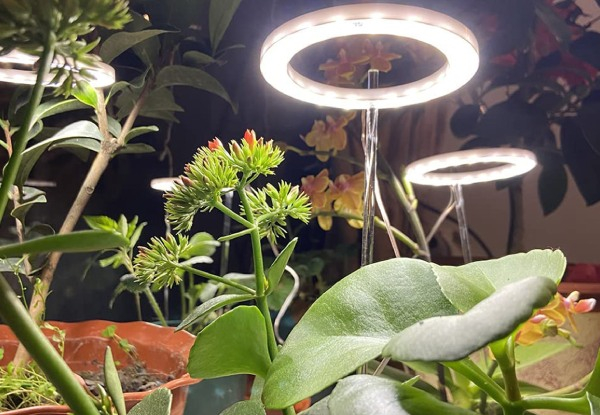 Dimmable Plant Growing Ring Light - Available in Two Colours & Four Styles