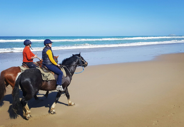 One-Hour Breathtaking Horse Trek Experience for Two People - Option for Two Hours