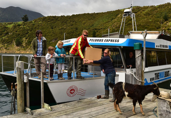 Mail Boat Winter Special Day Trip Through the Pelorus Sounds