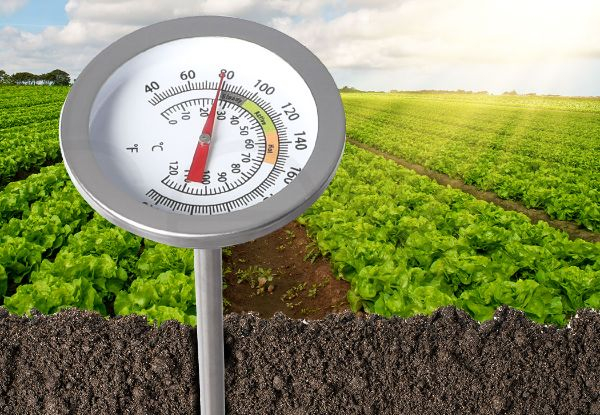 Lambu 90cm Soil Thermometer