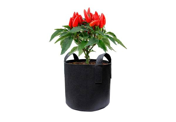 Three-Piece Garden Plant Fabric Grow Bags - Available in Four Sizes — photo 2