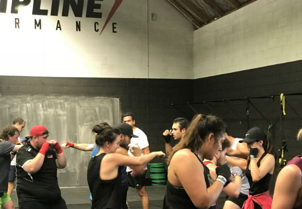 Four Weeks of Unlimited Classes at Discipline Performance - Two Locations