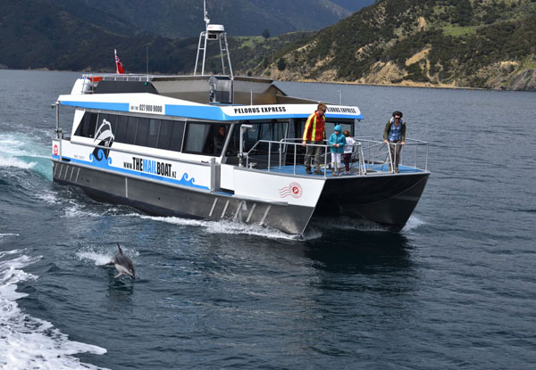 Mail Boat Winter Special Day Trip Through the Pelorus Sounds