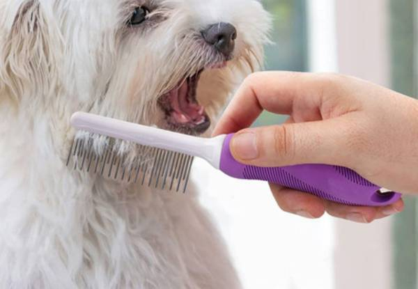 Pet Detangling Comb with Long & Short Teeth