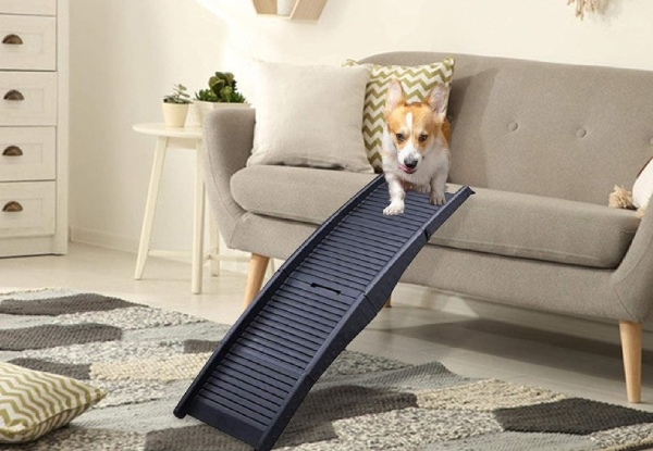 Portable Folding Pet Ramp - Option for Two or Three-Fold