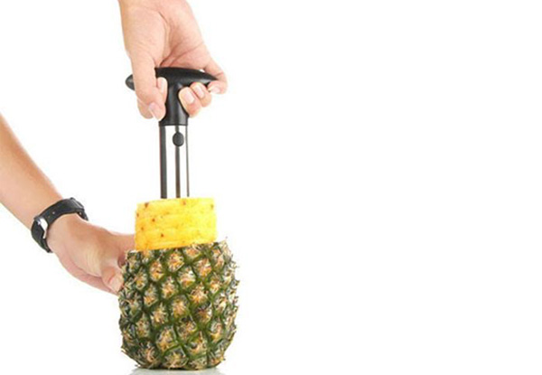 Pineapple Corer & Slicer - Option for Two