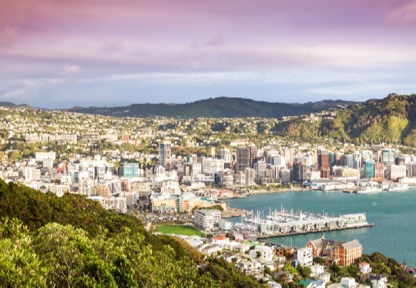 Three & a Half Hour Private Tour of Wellington for Two People - Options for Three, Four, or Five People