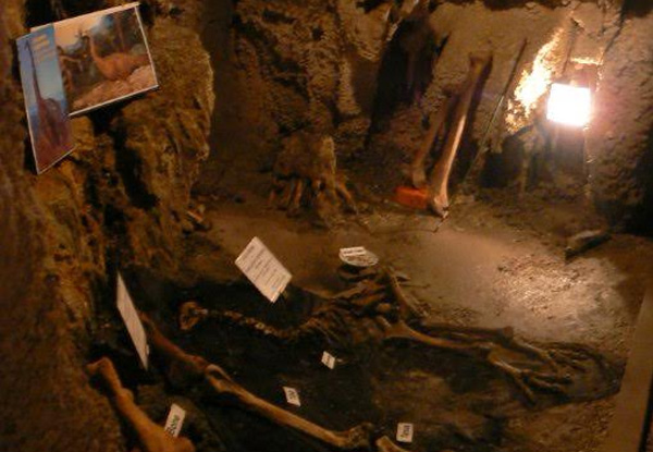 Family Guided Tour of Ngarua Caves featuring Skeletal Remains of Extinct Moa