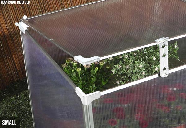 Mini Greenhouse - Two Sizes Available