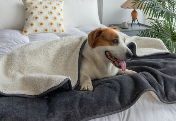 Water-Resistant Pet Couch Bed Blanket - Available in Three Colours & Two Sizes