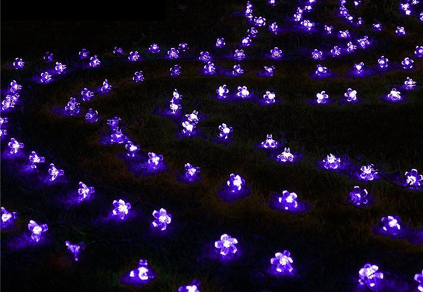 Solar Powered 50-LED Peach Flower Fairy String Lights - Five Colours Available