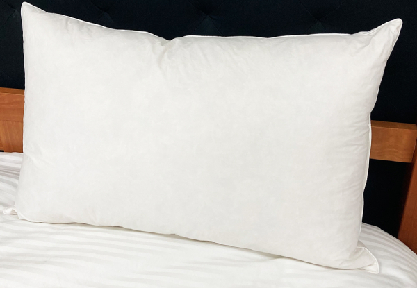 100% Feather Standard Pillow