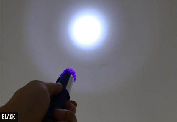 LED Mini Flashlight with Magnet - Three Colours Available