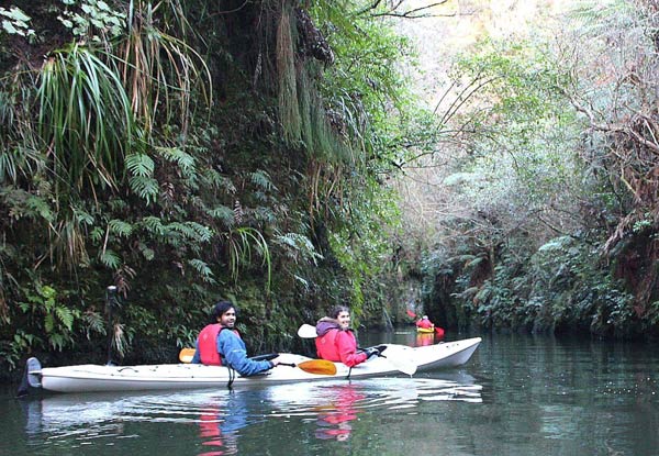 Three-Hour Glow Worm Adventure Kayak Trip - Option for Adult or Child