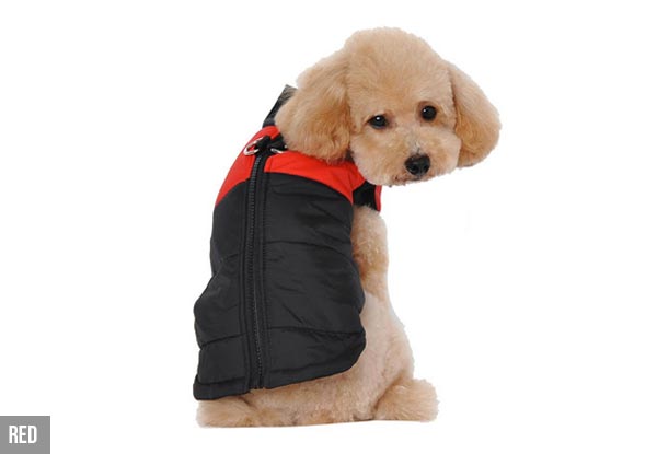 Water-Resistant Dog Jacket - Four Colours & Seven Sizes Available