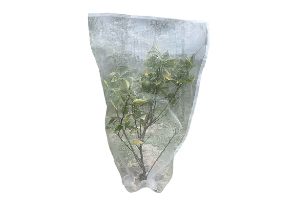 Plant Bird Protection Netting Bag 180x180cm - Option for Two
