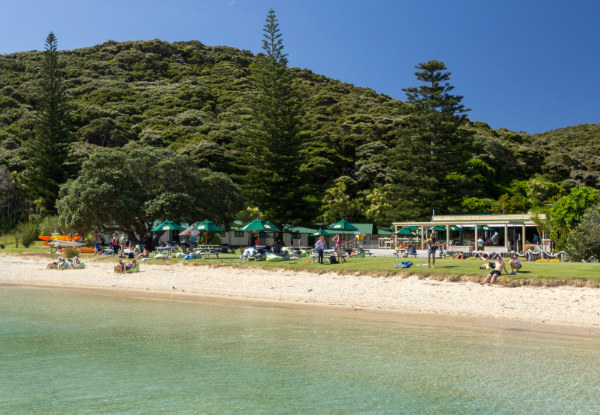 Return Ferry Trip to Otehei Bay in the Spectacular Bay of Islands - Options for Adults, Children & Families