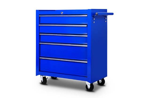 DS Tool Roll Cabinet & Chest - Two Colours Available