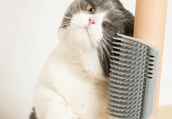 Two-Pack of Corner Massage Brushes for Cats - Four Colours Available