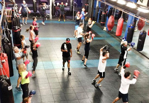 $49 for Three Weeks of Unlimited Classes incl. Boxing Glove Hire OR $99 for Six Weeks (value up to $900)