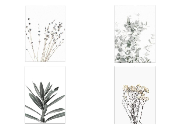 Botanical Canvas Print Wall Art - Available In Four Styles & Four Sizes