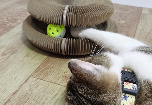 Foldable Cardboard Cat Scratching Post