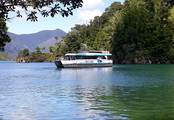 Mail Boat Winter Special Day Trip Through the Pelorus Sounds