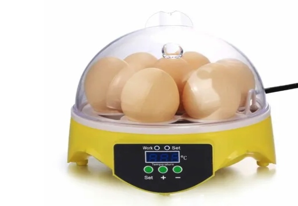 Seven-Eggs Incubator with Temperature Control and LED Display