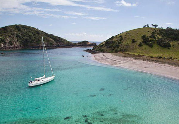 Bay of Islands Full Day Sailing Cruise incl. an Island Stopover & Lunch for One Person - Option for Two People