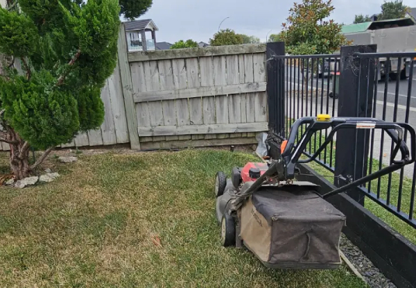 Two or Four Hours of Garden Maintenance Services