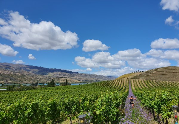 Full-Day Central Otago & Valley of the Vines Wine Tour for One Person