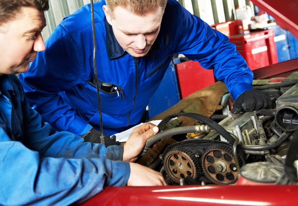 Extensive Vehicle Service - Option to incl. a WOF & European or Diesel Cars