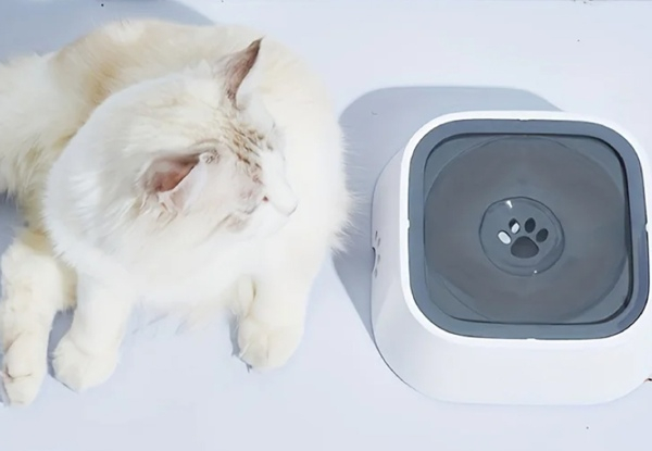 1.5L Pet No-Spill Slow Feeder Water Bowl - Available in Three Colours & Option for Two-Pack