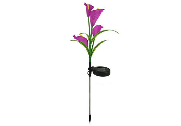 Solar-Powered Calla Lily Flower Lights - Four Colours Available