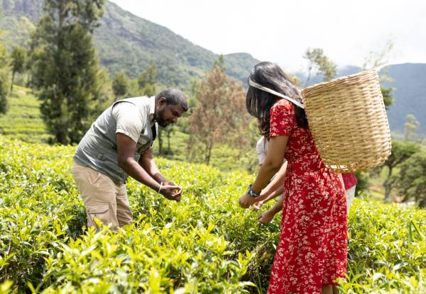 Per Person, Twin-Share Nine-Day Sri Lankan Private Tour Package Incl. Airport Pick-Up, 3/4 Star Accommodation, Private A/C Transport, English Speaking Guide/Chauffer, Breakfast & Dinner