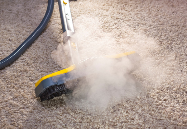 Carpet Steam Cleaned for a One-Bedroom Home - Options for up to Five Bedrooms