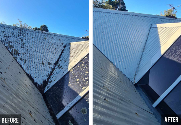 Winter Ready House Package with Roof Treatment & Gutter Clean - Option to Add House Wash