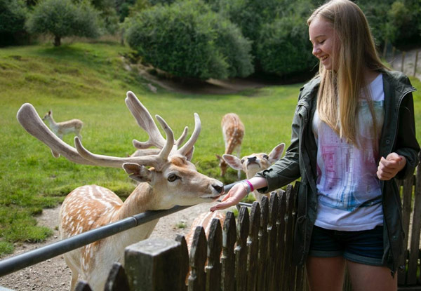 One Adult Entry or One Child Entry to Paradise Valley Springs Wildlife Park