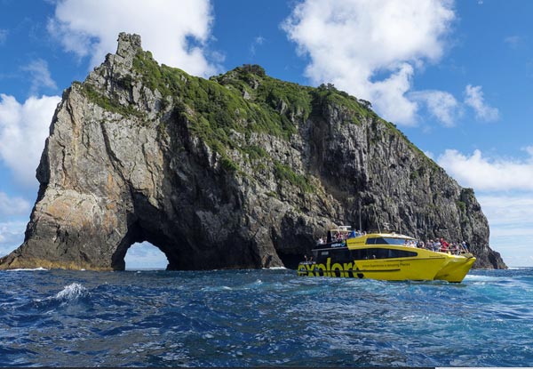 Discover the Bay - Hole in the Rock Cruise incl. BBQ Lunch & Island Stop-Over with Options for Child or Two Adults