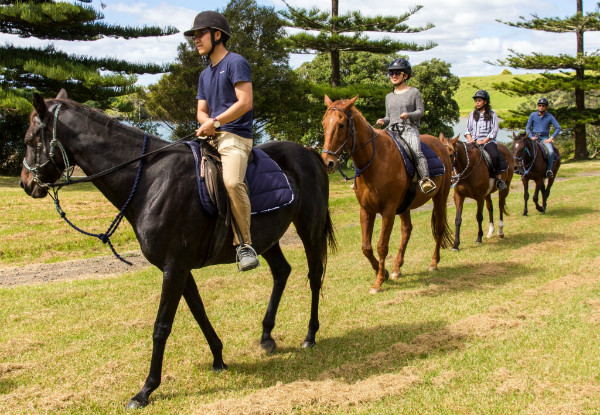 One-Hour Horse Trek for One-Person in the Bay of Islands - Option for Two People Available