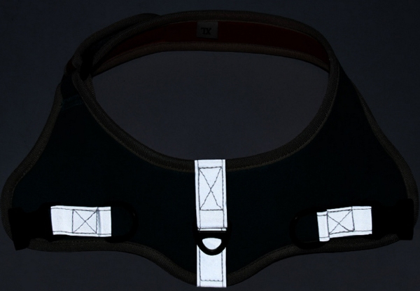 Reflective Pet Harness with Leash - Four Sizes & Two Colours Available