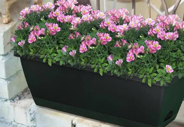 10-Pack 15L Rectangular Planter Box Set with Drainage Tray