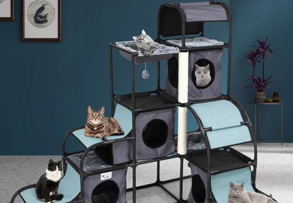 Multi-Level Cat Activity Tower