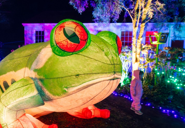 30% Off Entry to the Illumination Night Walk at the New Zealand Festival of Christmas in Greytown - Options for Family Pass with Treats, or Two Adults with $50 White Swan Voucher
