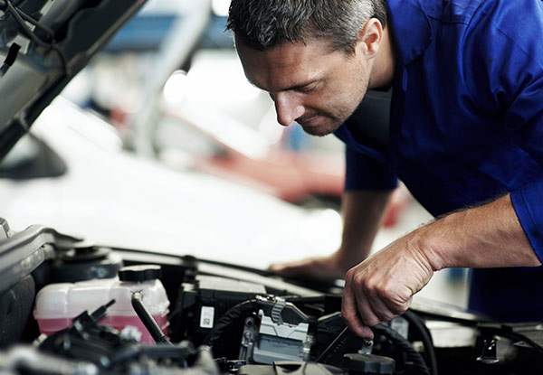 $79 for a 28-Point Comprehensive Service  (value up to $150)