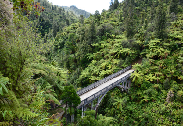 Per-Person 16 Day Epic NZ Dreamer MTB Tour – North & South Island incl. Accomodation, Guides, Activities & More