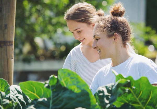 Ticket to a Raw Food Master Class Workshop from the Two Raw Sisters - Options for Living on a Budget Workshop, Adult Lunchbox Workshop, Entertaining at Home, Under 20 Minute Dinners & Many More