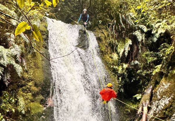 Ultimate Half-Day Little Akatarawa Canyoning Trip incl. Lunch & Photos